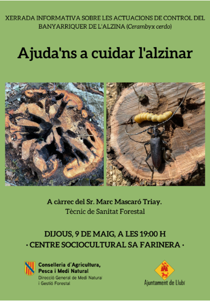 XERRADA INFORMATIVA SOBRE LES ACTUACIONS DE CONTROL DEL BANYARRIQUER DE L'ALZINA